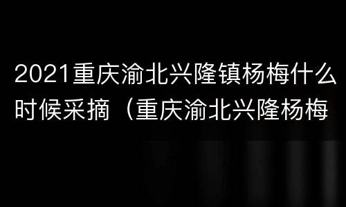 2021重庆渝北兴隆镇杨梅什么时候采摘（重庆渝北兴隆杨梅基地）