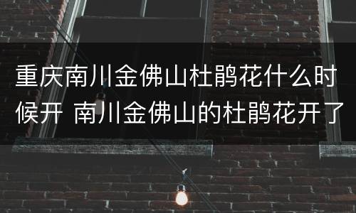 重庆南川金佛山杜鹃花什么时候开 南川金佛山的杜鹃花开了吗
