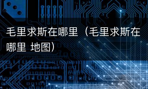 毛里求斯在哪里（毛里求斯在哪里 地图）
