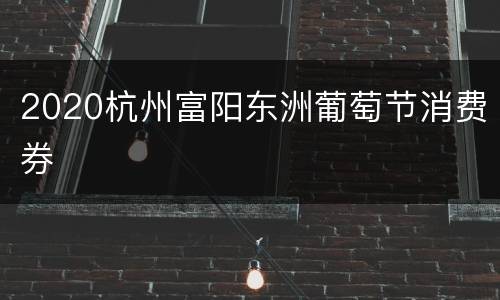 2020杭州富阳东洲葡萄节消费券