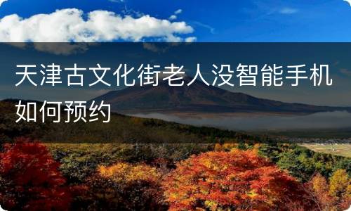 天津古文化街老人没智能手机如何预约