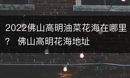 2022佛山高明油菜花海在哪里？ 佛山高明花海地址