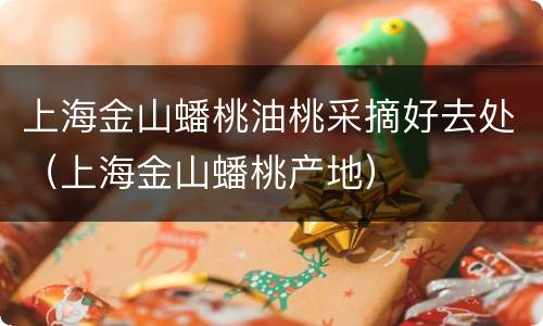 上海金山蟠桃油桃采摘好去处（上海金山蟠桃产地）