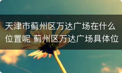 天津市蓟州区万达广场在什么位置呢 蓟州区万达广场具体位置