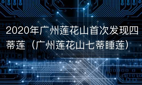 2020年广州莲花山首次发现四蒂莲（广州莲花山七蒂睡莲）