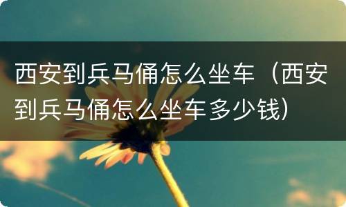 西安到兵马俑怎么坐车（西安到兵马俑怎么坐车多少钱）