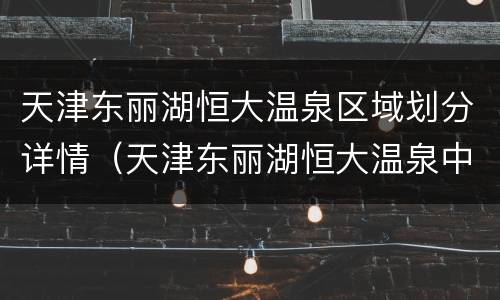 天津东丽湖恒大温泉区域划分详情（天津东丽湖恒大温泉中心简介）