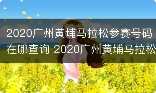 2020广州黄埔马拉松参赛号码在哪查询 2020广州黄埔马拉松参赛号码在哪查询啊