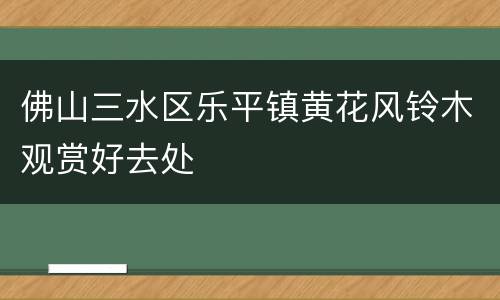 佛山三水区乐平镇黄花风铃木观赏好去处