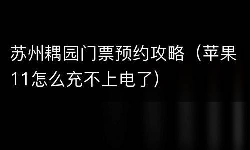 苏州耦园门票预约攻略（苹果11怎么充不上电了）