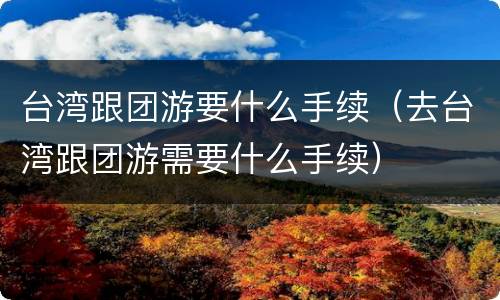 台湾跟团游要什么手续（去台湾跟团游需要什么手续）