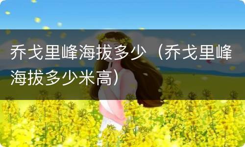 乔戈里峰海拔多少（乔戈里峰海拔多少米高）