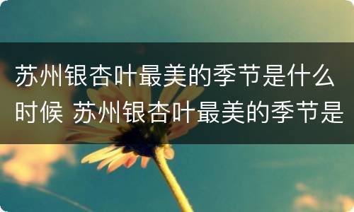 苏州银杏叶最美的季节是什么时候 苏州银杏叶最美的季节是什么时候开始的