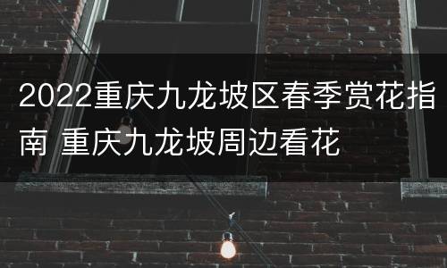 2022重庆九龙坡区春季赏花指南 重庆九龙坡周边看花