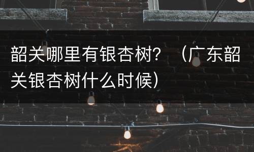 韶关哪里有银杏树？（广东韶关银杏树什么时候）