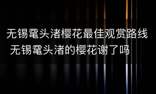 无锡鼋头渚樱花最佳观赏路线 无锡鼋头渚的樱花谢了吗