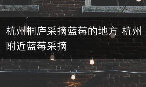 杭州桐庐采摘蓝莓的地方 杭州附近蓝莓采摘