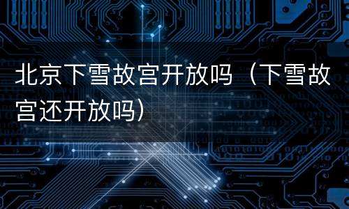 北京下雪故宫开放吗（下雪故宫还开放吗）