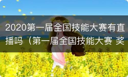 2020第一届全国技能大赛有直播吗（第一届全国技能大赛 奖励）