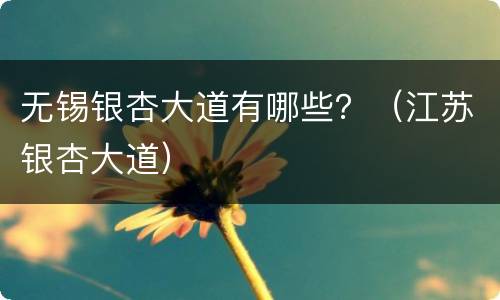 无锡银杏大道有哪些？（江苏银杏大道）