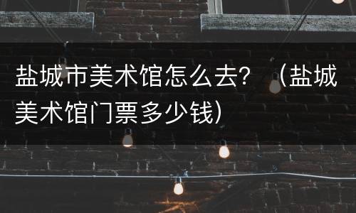 盐城市美术馆怎么去？（盐城美术馆门票多少钱）