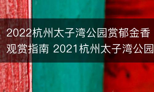 2022杭州太子湾公园赏郁金香观赏指南 2021杭州太子湾公园