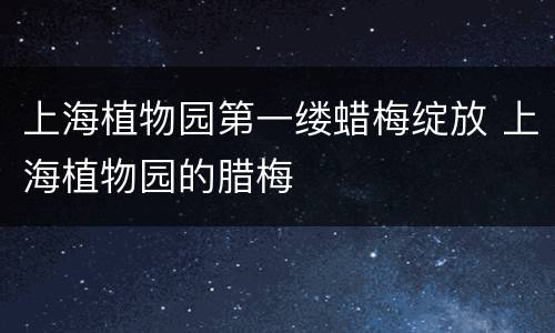 上海植物园第一缕蜡梅绽放 上海植物园的腊梅