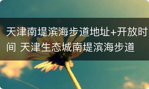 天津南堤滨海步道地址+开放时间 天津生态城南堤滨海步道