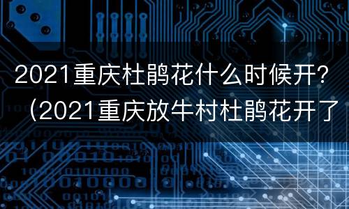 2021重庆杜鹃花什么时候开？（2021重庆放牛村杜鹃花开了吗）