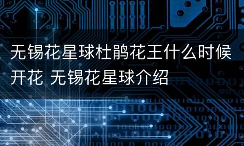 无锡花星球杜鹃花王什么时候开花 无锡花星球介绍