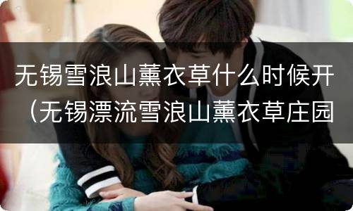 无锡雪浪山薰衣草什么时候开（无锡漂流雪浪山薰衣草庄园）