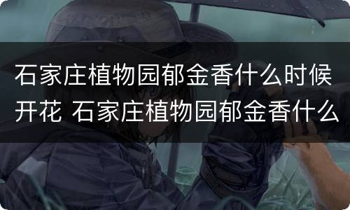 石家庄植物园郁金香什么时候开花 石家庄植物园郁金香什么时候开花的