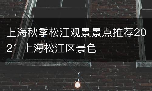 上海秋季松江观景景点推荐2021 上海松江区景色