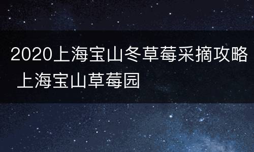 2020上海宝山冬草莓采摘攻略 上海宝山草莓园
