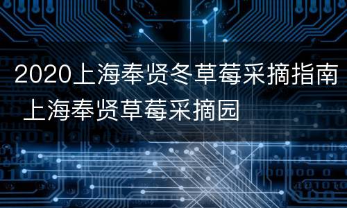 2020上海奉贤冬草莓采摘指南 上海奉贤草莓采摘园