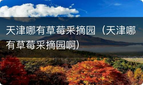 天津哪有草莓采摘园（天津哪有草莓采摘园啊）