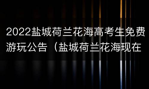 2022盐城荷兰花海高考生免费游玩公告（盐城荷兰花海现在这个季节开放吗）