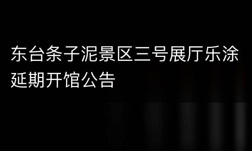 东台条子泥景区三号展厅乐涂延期开馆公告