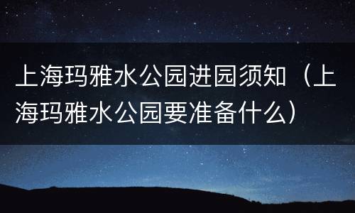 上海玛雅水公园进园须知（上海玛雅水公园要准备什么）