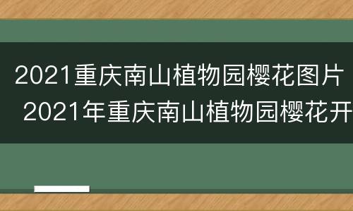 2021重庆南山植物园樱花图片 2021年重庆南山植物园樱花开了吗