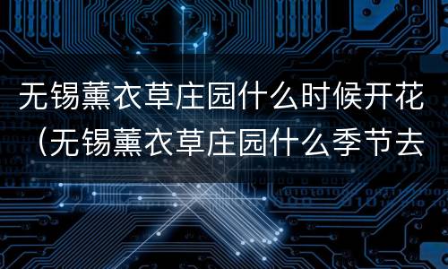 无锡薰衣草庄园什么时候开花（无锡薰衣草庄园什么季节去）