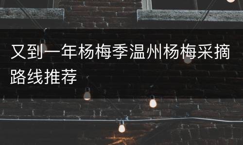 又到一年杨梅季温州杨梅采摘路线推荐