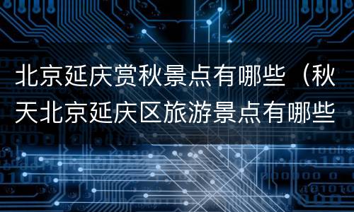北京延庆赏秋景点有哪些（秋天北京延庆区旅游景点有哪些）
