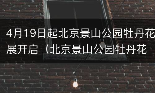 4月19日起北京景山公园牡丹花展开启（北京景山公园牡丹花开放时间）