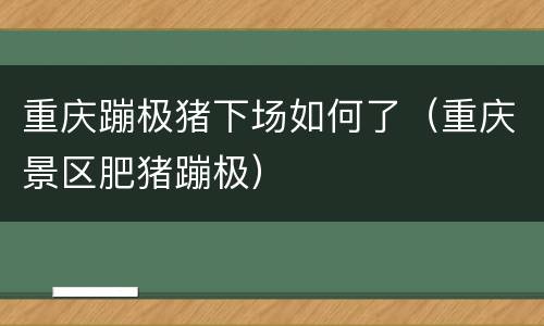 重庆蹦极猪下场如何了（重庆景区肥猪蹦极）