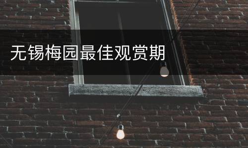 无锡梅园最佳观赏期​