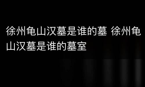 徐州龟山汉墓是谁的墓 徐州龟山汉墓是谁的墓室