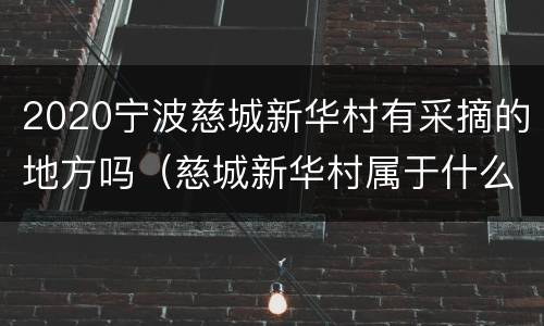 2020宁波慈城新华村有采摘的地方吗（慈城新华村属于什么片区）