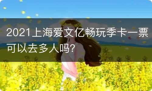 2021上海爱文亿畅玩季卡一票可以去多人吗？