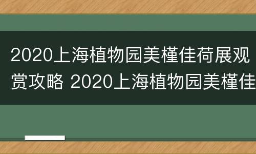 2020上海植物园美槿佳荷展观赏攻略 2020上海植物园美槿佳荷展观赏攻略图